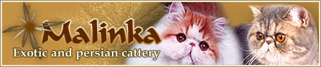 cattery Malinka