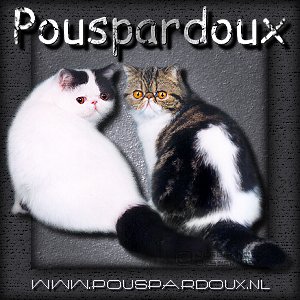 cattery Pouspardoux