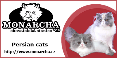 Monarcha cattery