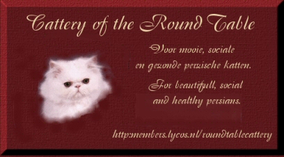 cattery Roundtable